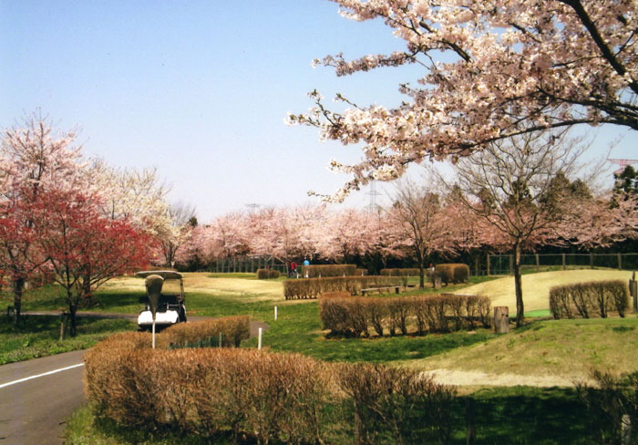 ふれあいの森公園パークゴルフ場