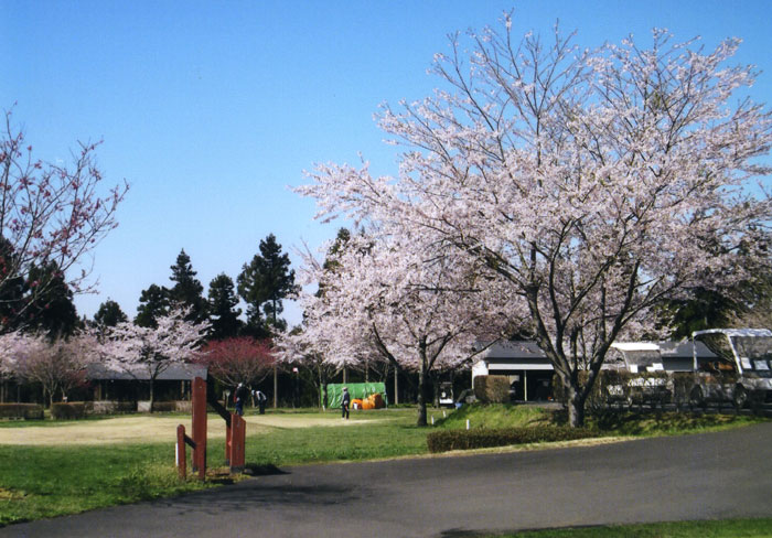 ふれあいの森公園パークゴルフ場